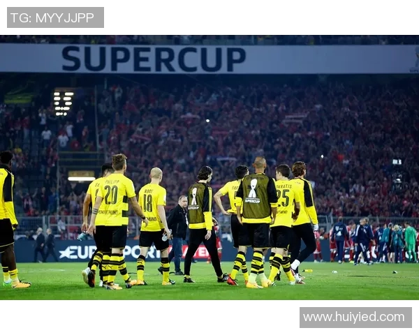 2016年多特蒙德与美因茨激战回顾及精彩瞬间分析