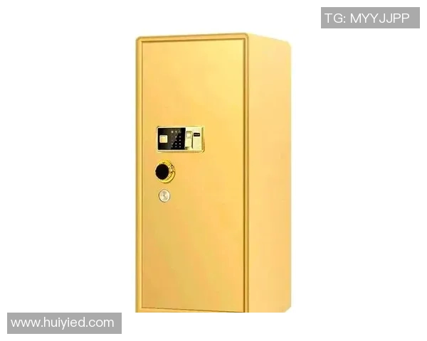 陈敏独家分享网球心得与技巧助你提升球技的全面指南